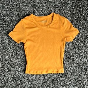 Skatie Gold Crop Fitted Ribbed Baby Tee